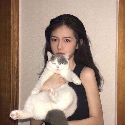 风云传世私服下载